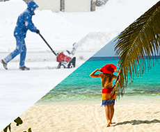 Snow or Tropical Vacations