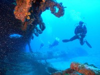 Underwater BVI Paradise