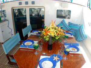 Charter Private Yacht adastra catamaran sailing vacation