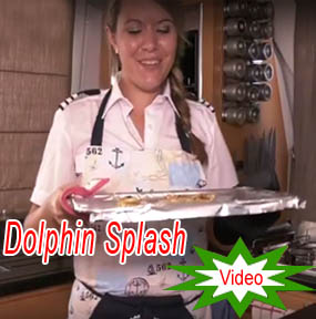 Catamaran Dolphin splash Charter Chef