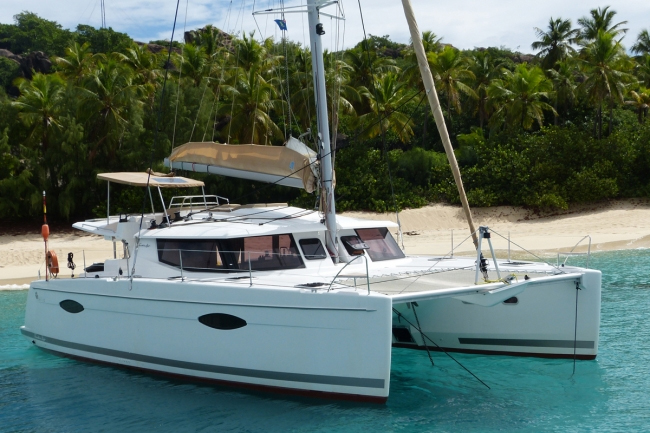 catamaran dolphin splash